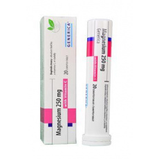 Magnesium 250mg tbl eff 20tbl s vitam C Generica Magnesium 250mg tbl eff 20tbl s vitam C Generica