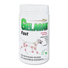 Gelacan Fast 500g Gelacan Fast 500g