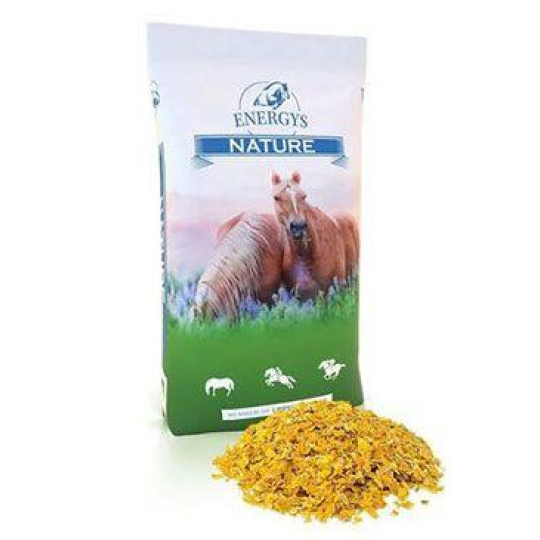 ENERGY´S Cornflakes Kukuričné vločky 15 kg ENERGY´S Cornflakes Kukuričné vločky 15 kg