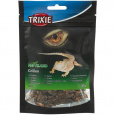 Sušený cvrček 25 g