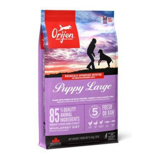 Orijen Dog Puppy Large 6kg