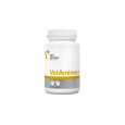 VetExpert VetAminex pro psy a kočky 60cps (Twist off)