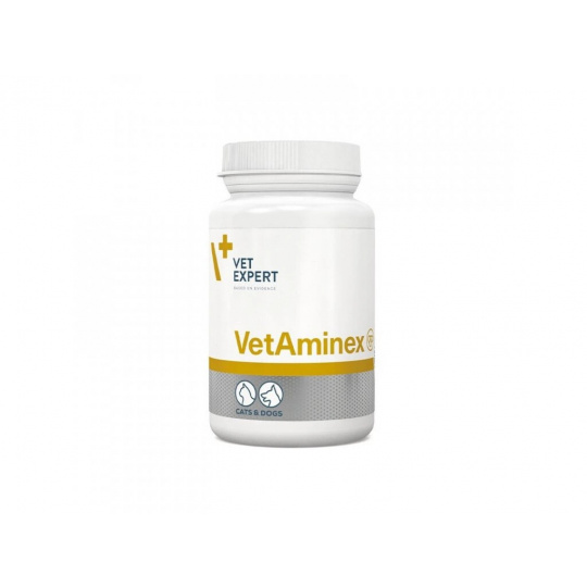 VetExpert VetAminex pro psy a kočky 60cps (Twist off) VetExpert VetAminex pro psy a kočky 60cps (Twist off)