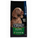 Cibau Dog Puppy Maxi 2 x 12 kg