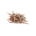 WANT Dog poch. NoodleFish 100g