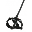 Szelki dla psa z smyczą 2m CLIP&GO czarna M Zolux