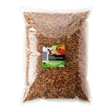 UGF sušený moučný červ 1kg UGF sušený moučný červ 1kg