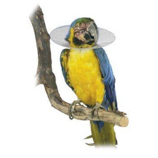 Límec ochranný plastový Bird Collar pro ptáky 10cm