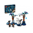 LEGO HARRY POTTER 76432 Zakázaný les - Kouzelná stvoření