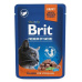Brit Premium Cat kapsa Salmon for Sterilised 100g