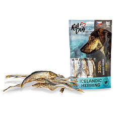 KIDDOG SUPER PREMIUM 100% dried real fish - islandský herinek 100 g