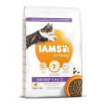 Iams Cat Kitten Chicken 10kg