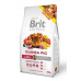 Brit Animals Guinea Pig Complete 300g