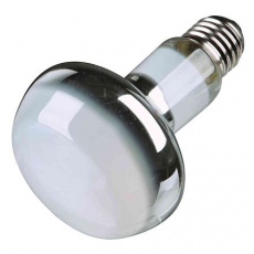 Basking Spot-Lamp (RP 2,10 €)