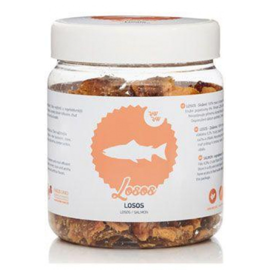 Raw Raw pochoutka mrazem sušený Losos maso 110g