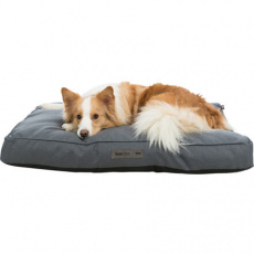 Vankúš Farello obdĺžnikový, sivý Vankúš Farello obdĺžnikový, sivý