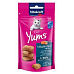 Vitakraft Cat poch. Yums losos 40g