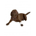 Obväz hadicový sieťový BUSTER 1,25cm x 6,5m biely