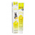 Gimcat pasta Sýrová s biotinem 100g