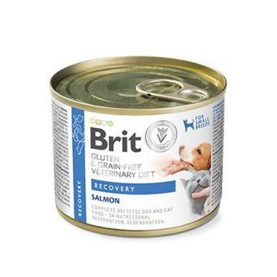 Brit VD Dog+Cat GF konz Recovery 200g