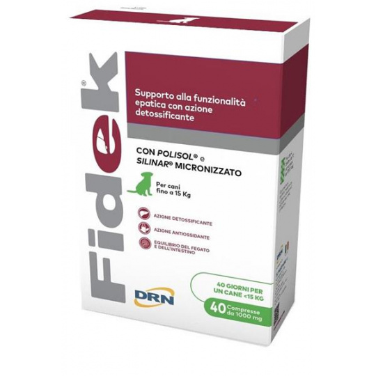 Fidek 1000 mg  40 tbl.