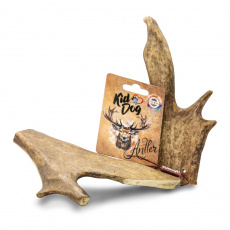 KIDDOG Antler, dančí paroh - XL
