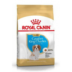 Royal Canin Breed Kavalír King Charles Junior 1,5kg Royal Canin Breed Kavalír King Charles Junior 1,5kg