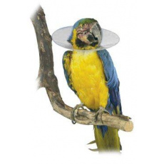 Límec ochranný plastový Bird Collar pro ptáky 20cm Límec ochranný plastový Bird Collar pro ptáky 20cm