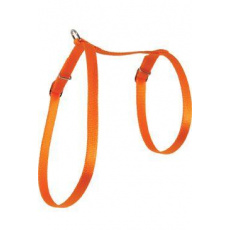 Postroj kočka nylon 10mm oranžový Zolux Postroj kočka nylon 10mm oranžový Zolux