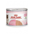 Royal Canin Feline Babycat 195g konz