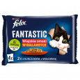 Felix Fantastic venkovské příchutě v želé, hovězí a kuřecí 340g (4x 85g)