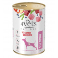 4VETS Natural Diabetes Dog  - vlhké krmivo pro psy - 400 g