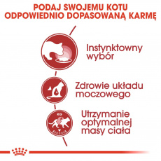 ROYAL CANIN FHN Instinctive v želé - vlhké krmivo pro dospělé kočky - 12x85g