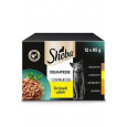 Sheba kapsa Delikatesse drůbeží výběr 12x85g