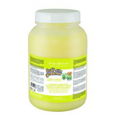 San Bernard Maska Zenzero-Sambuco 1000ml