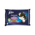 Nestlé FELIX Fantastic cat Multipack junior kura&losos želé kapsička 4x85 g