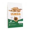 IAMS Advanced Nutrition Cat Adult Lamb - suché krmivo pro kočky - 10 kg