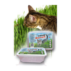 Certech 10319 travní semínka pro zvířata Kočka