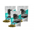 Geloren HA gélové tablety  1350g