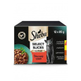 Sheba kapsa Select Slices šťavnatý výběr 12x85g