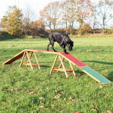 Dog Activity AGILITY nácviková lávka 456x64x30 cm Dog Activity AGILITY nácviková lávka 456x64x30 cm