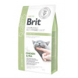 Brit Veterinary Diets GF cat Diabetes 2 kg