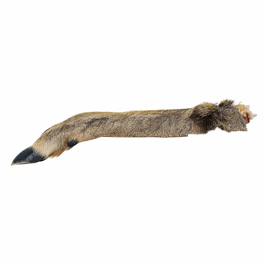 Srnčí nožka s kožešinou - 1 ks / 30 cm