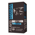 Alavis MAXIMA Bestier Tribulus 60 kaps.