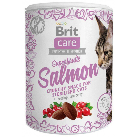 BRIT Care Superfruits Salmon - pamlsek pro kočky - 100 g