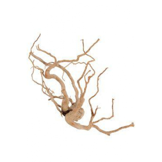 Akvarijní dekorace Pavoučí kořen +60cm Zolux