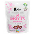 BRIT Care Dog Insects&Whey - pochoutka pro psy - 200 g