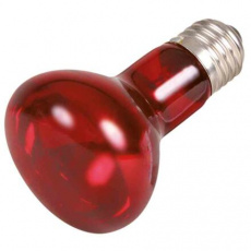 Infrared Heat Spot-Lamp red 35 W (RP 2,10 Kč)