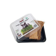 Apetit mačacia tráva, pestovacia miska, kokosová rohož 30g