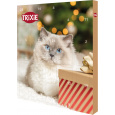 Adventní kalendář pro kočky, 30x34x3,5 cm TRIXIE